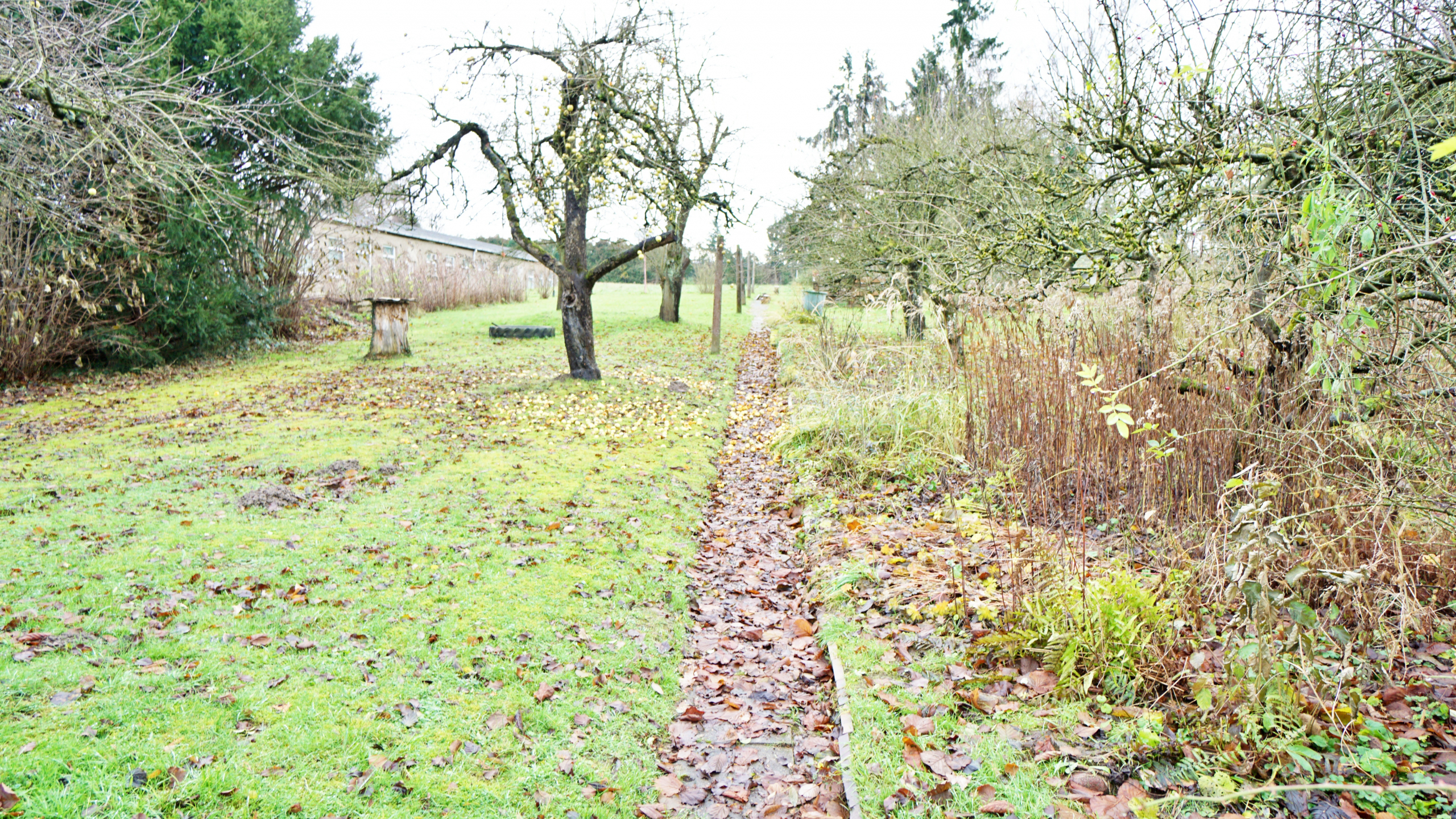 erbpacht-haus- lemgo - Dieses Objekt wird von DaVision Immobilien vermarktet. Ihr Immobilienpartner für Lemgo, Detmold & Umgebung!